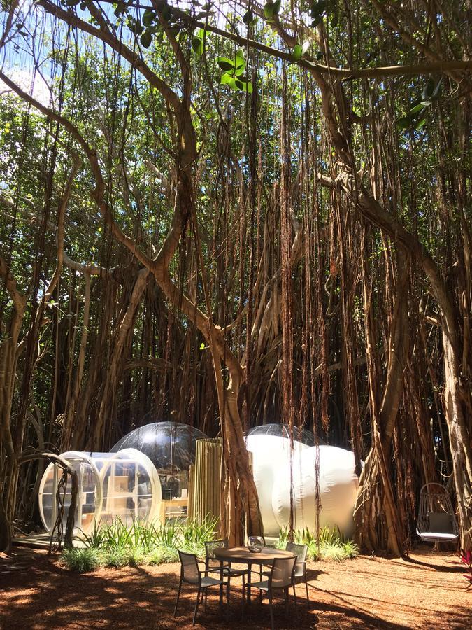 Bubble Lodge Ile Aux Cerfs Island Ngoại thất bức ảnh