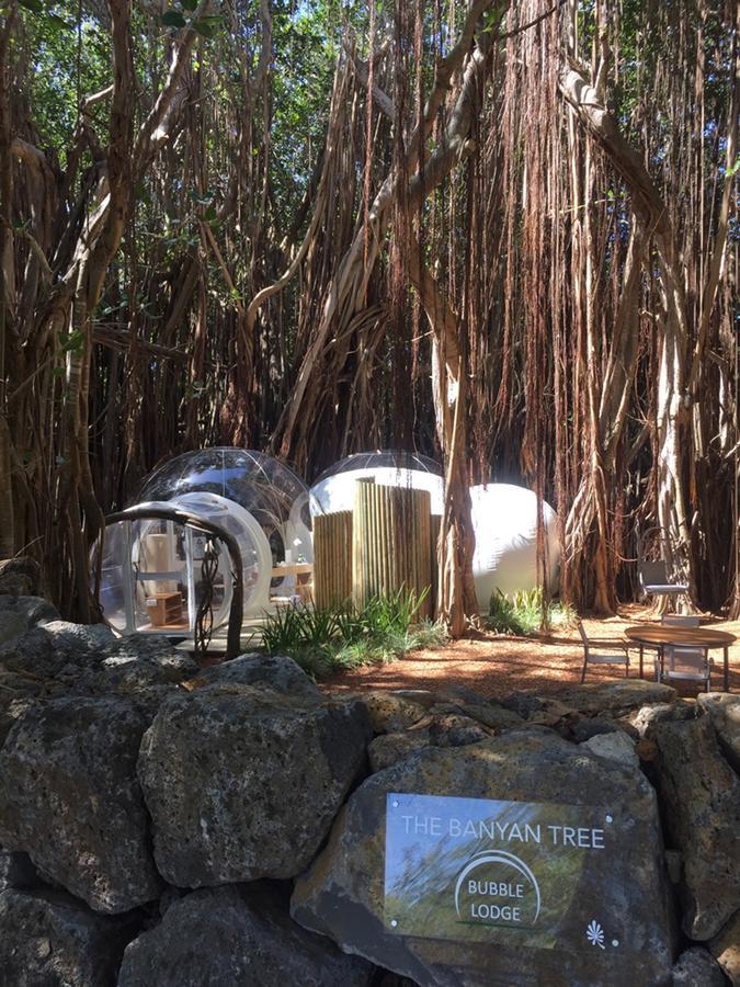 Bubble Lodge Ile Aux Cerfs Island Ngoại thất bức ảnh